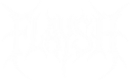 FLAYSH